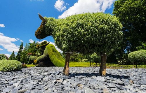 加拿大蒙特利尔植物园展出200名园艺艺术家的园艺雕塑作品_画影国际